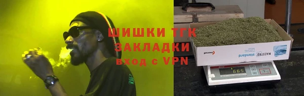 гидра Абаза