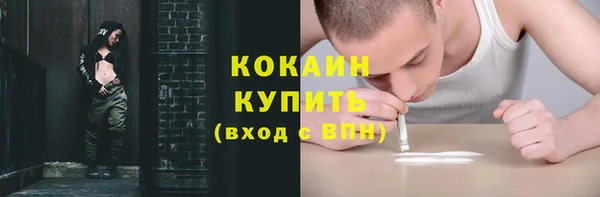 тгк Алексин