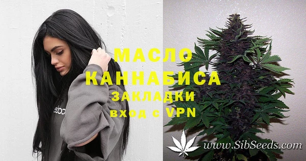 гидра Абаза