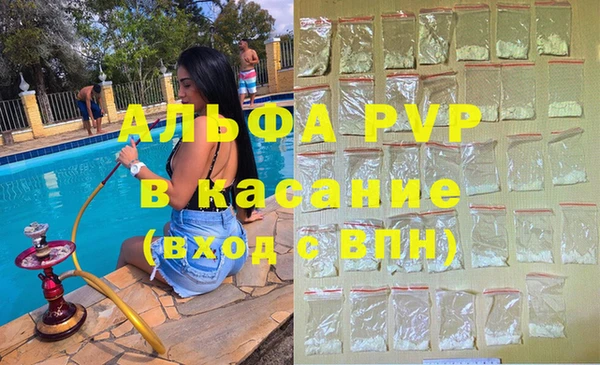 гидра Абаза