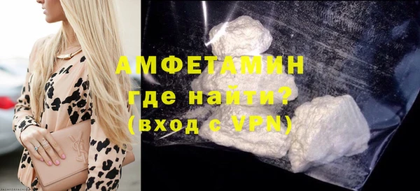 гидра Абаза