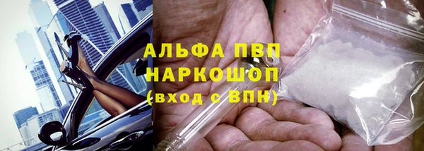 гидра Абаза