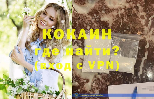 гидра Абаза